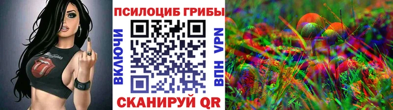 Купить где  Заинск  Галлюциногенные грибы GOLDEN TEACHER 