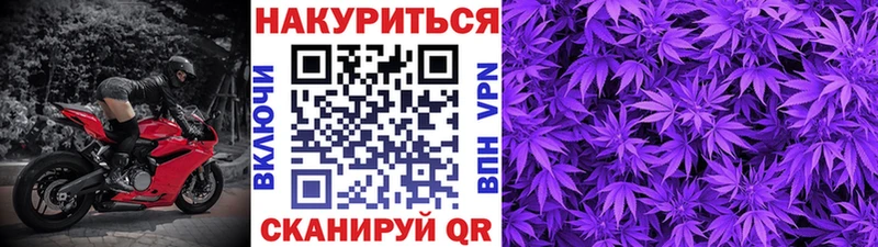 Купить где  Заинск  Канабис MAZAR 